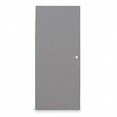 D3545 Flush Steel Door 84x30 In Cylindrical