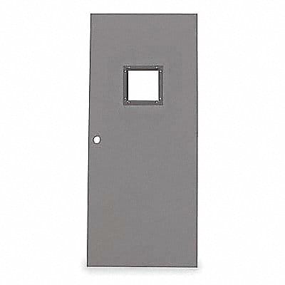 D3627 Vision Light Steel Door 80x30 In