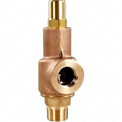 D4552 Adjustable Relief Valve 1-1/2 In 250 psi