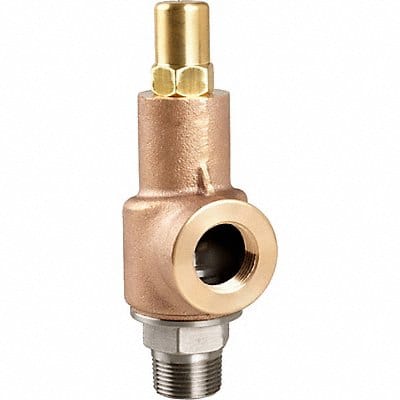 D4554 Adjustable Relief Valve 1/2 In 150 psi