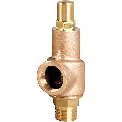 D4517 Safety Relief Valve 1/2 x 3/4 In 225 psi