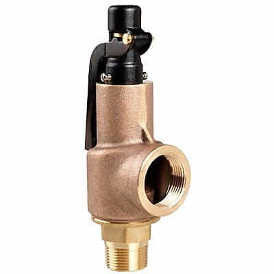 D4512 Safety Relief Valve 3/4 x 1 In 175 psi