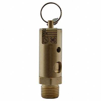 Adjustable Relief Valve 1/2 In 60 psi