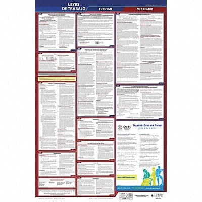 Labor Law Poster Fed/STA DE SP 26inH 3yr