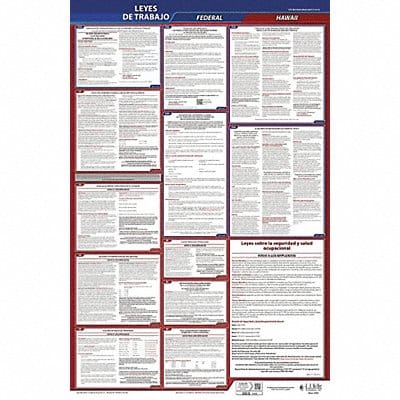 Labor Law Poster Fed/STA HI SP 26inH 3yr