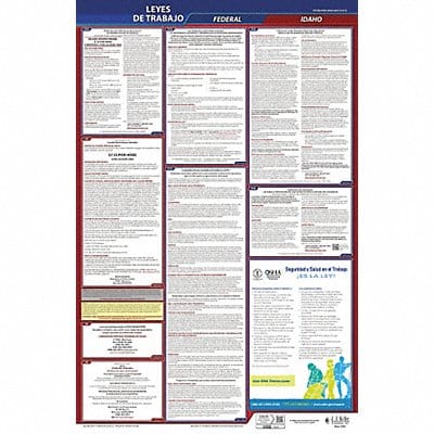 Labor Law Poster Fed/STA ID SP 26inH 3yr