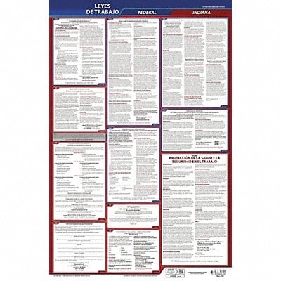 Labor Law Poster Fed/STA IN SP 26inH 3yr