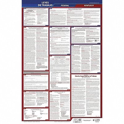 Labor Law Poster Fed/STA KY SP 26inH 3yr