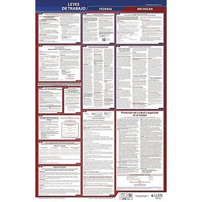 Labor Law Poster Fed/STA MI SP 26inH 3yr