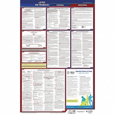 Labor Law Poster Fed/STA MT SP 26inH 3yr