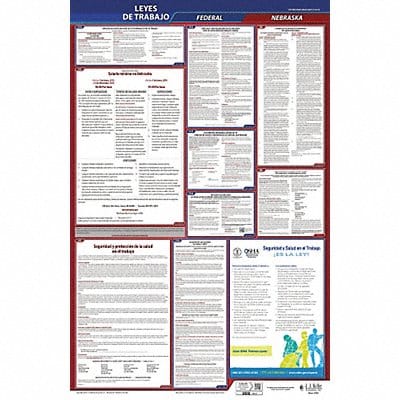 Labor Law Poster Fed/STA NE SP 26inH 3yr