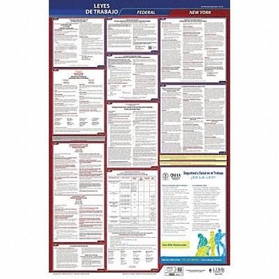 Labor Law Poster Fed/STA NY SP 26inH 3yr