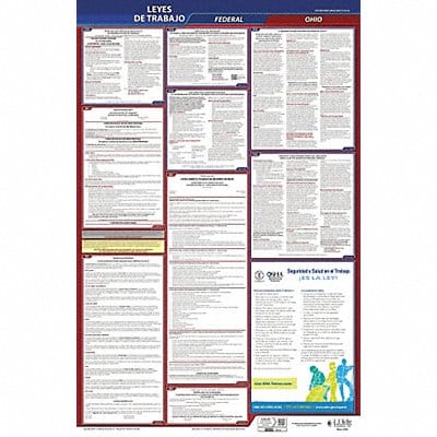 Labor Law Poster Fed/STA OH SP 26inH 3yr