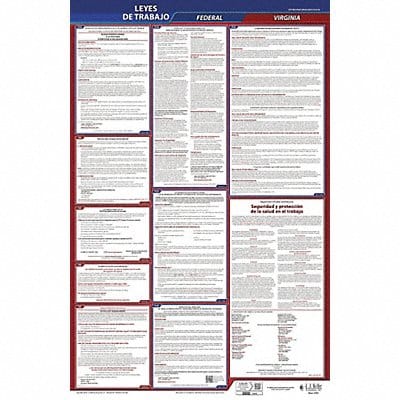 Labor Law Poster Fed/STA VA SP 26inH 3yr