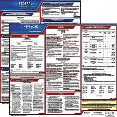 LaborLaw Poster Fed/STA NY ENG 20inH 1yr