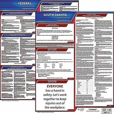 LaborLaw Poster Fed/STA SD ENG 20inH 1yr