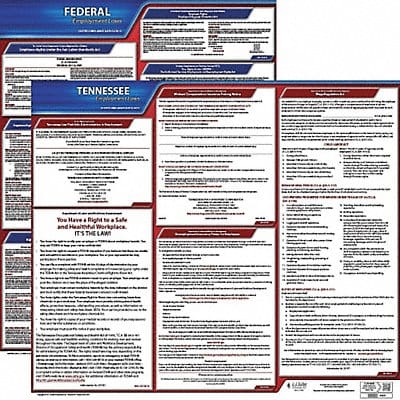 LaborLaw Poster Fed/STA TN ENG 20inH 1yr