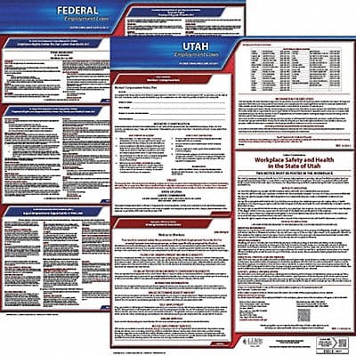 LaborLaw Poster Fed/STA UT ENG 20inH 1yr