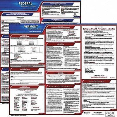 LaborLaw Poster Fed/STA VT ENG 20inH 1yr