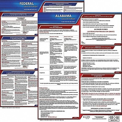 Labor Law Poster Fed/STA AL SP 20inH 1yr