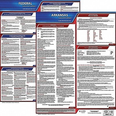 Labor Law Poster Fed/STA AR SP 20inH 1yr