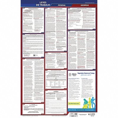 Labor Law Poster Fed/STA GA SP 26inH 1yr