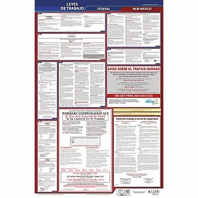 Labor Law Poster Fed/STA NM SP 26inH 1yr