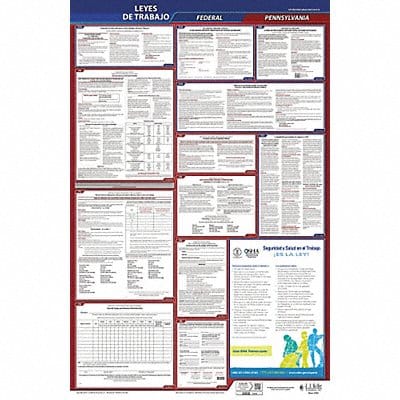 Labor Law Poster Fed/STA PA SP 26inH 1yr