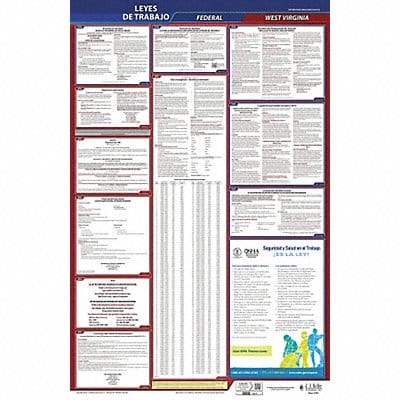 Labor Law Poster Fed/STA WV SP 26inH 1yr