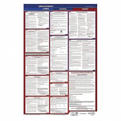 LaborLaw Poster Fed/STA HI ENG 26inH 3yr