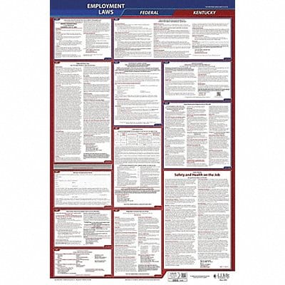 LaborLaw Poster Fed/STA KY ENG 26inH 3yr