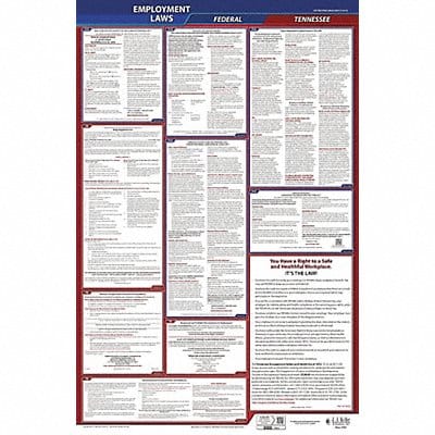 LaborLaw Poster Fed/STA TN ENG 26inH 3yr