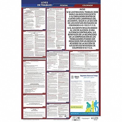 Labor Law Poster Fed/STA CO SP 26inH 3yr