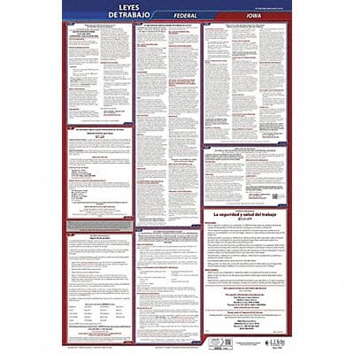 Labor Law Poster Fed/STA IA SP 40Wx26inH