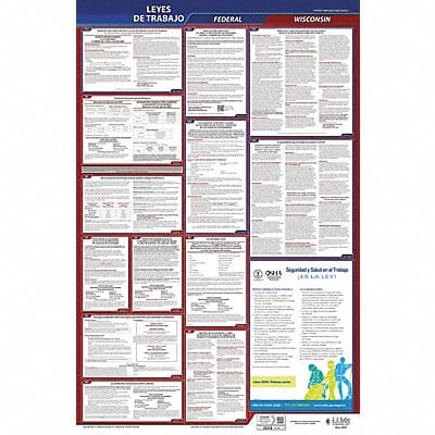 Labor Law Poster Fed/STA WI SP 40Wx26inH