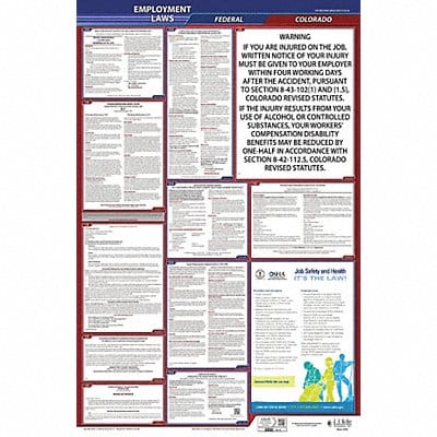 LaborLaw Poster Fed/STA CO ENG 26inH 1yr