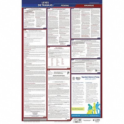 Labor Law Poster Fed/STA AR SP 26inH 1yr