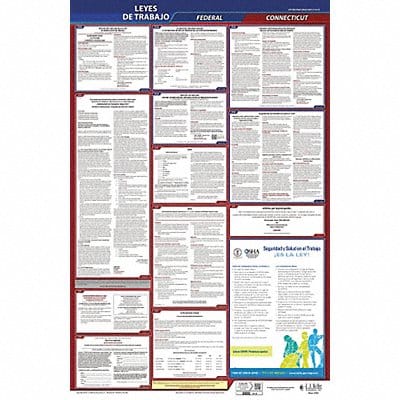 Labor Law Poster Fed/STA CT SP 26inH 1yr