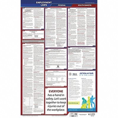 LaborLaw Poster Fed/STA SD ENG 40Wx26inH