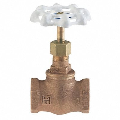 Globe Valve 1/4 Bronze FNPT 300 psi