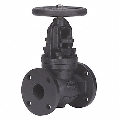 Globe Valve 2 Cast Iron Flange 125 psi