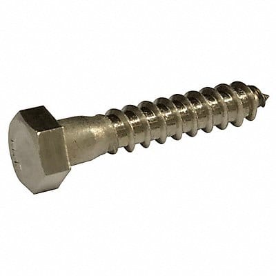 Hex Lag Screw 1/4 18-8SS 2 L PK800