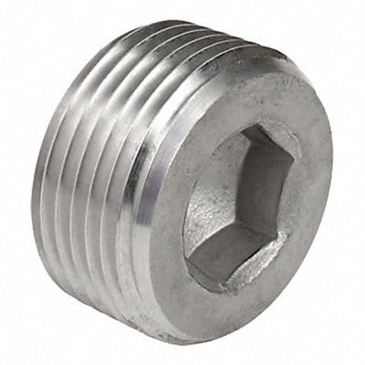 Threaded Plug SS Overall L 7/8in