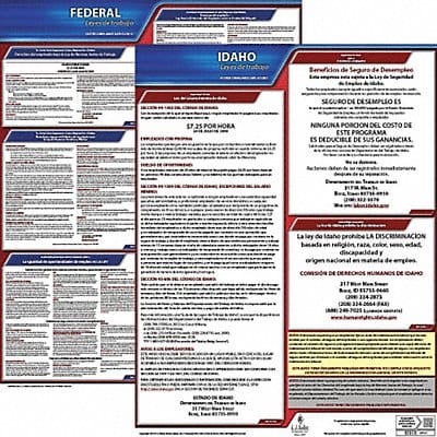 Labor Law Poster Fed/STA ID SP 20inH 3yr