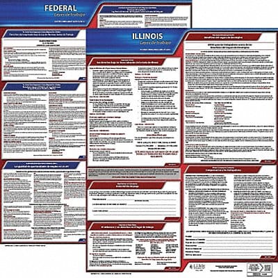 Labor Law Poster Fed/STA IL SP 20inH 3yr