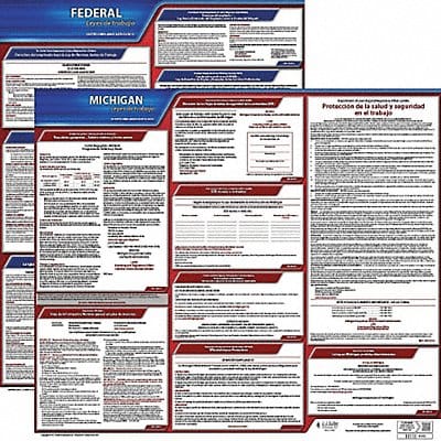 Labor Law Poster Fed/STA MN SP 20inH 3yr