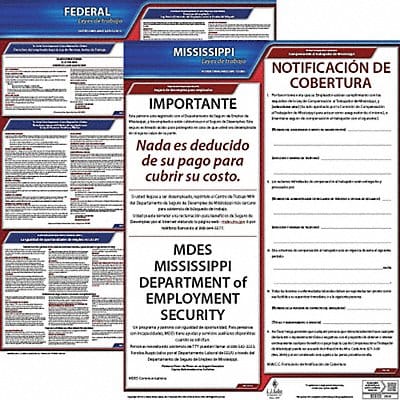 Labor Law Poster Fed/STA MS SP 20inH 3yr