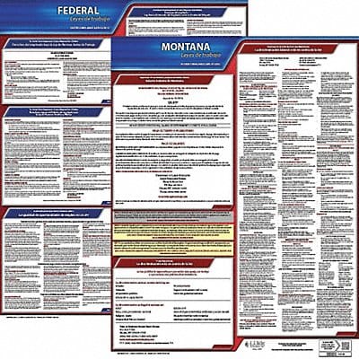 Labor Law Poster Fed/STA MT SP 20inH 3yr