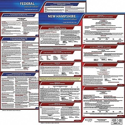 Labor Law Poster Fed/STA NH SP 20inH 3yr