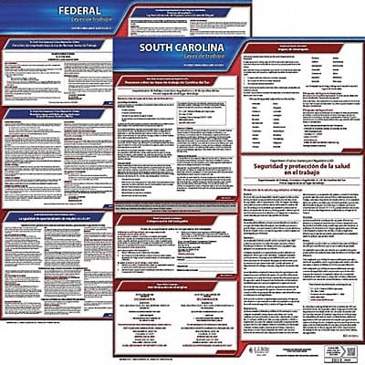 Labor Law Poster Fed/STA SC SP 20inH 3yr